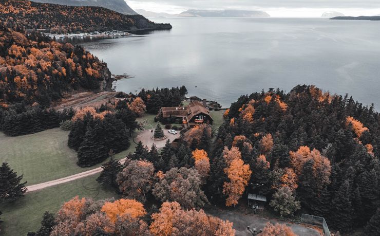 找移民，咨询移民，不用中介公司，教您免费移民