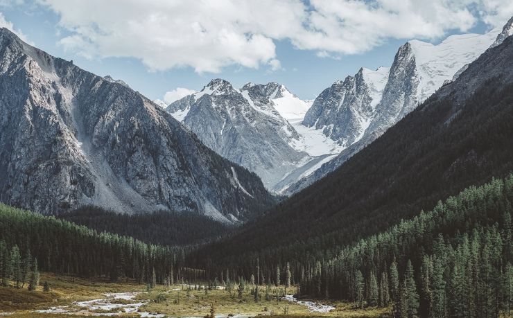 移民意大利需要多少钱